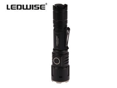 Ledwise Scout