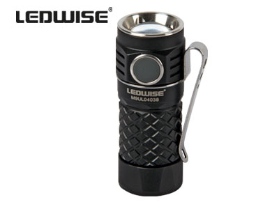 Ledwise Rogue