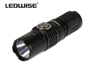 Ledwise Saint