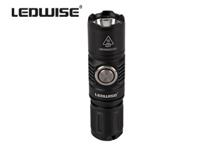 Ledwise Saint