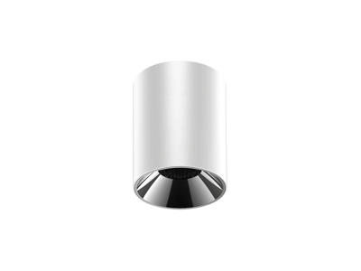 LED LuxGlow Small cylinder påbygningsspot. 15W. WW. DALI. hvid