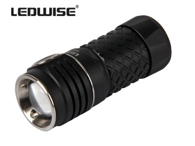 Ledwise Rogue