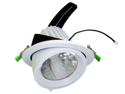 LD361-1 LED 'PROF' downlight